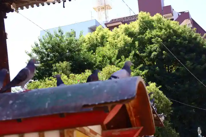 大須観音 (北野山真福寺宝生院)(愛知県)