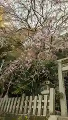 大豊神社(京都府)