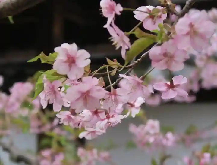 雲龍院(京都府)