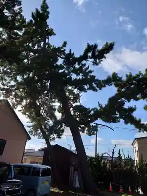 菅原神社(新潟県)