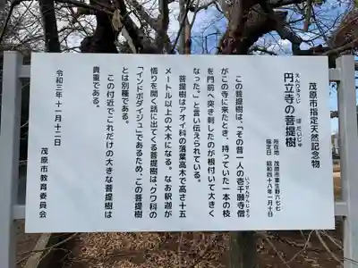 円立寺(千葉県)