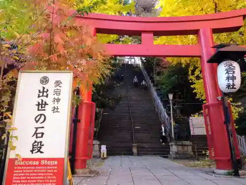 愛宕神社の鳥居