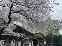 東郷神社(東京都)