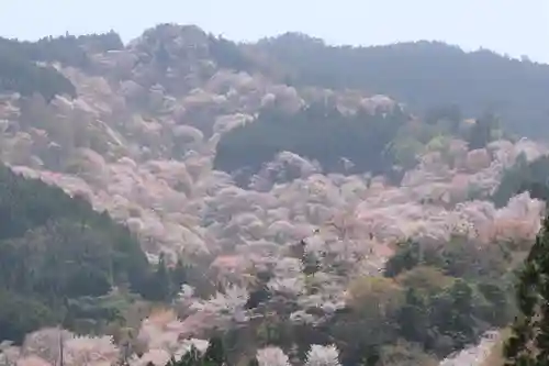 吉水神社の景色