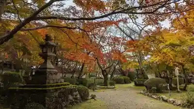 勝持寺（花の寺）(京都府)