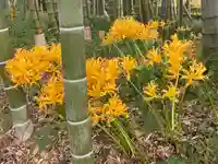祓戸神社(鹿児島県)