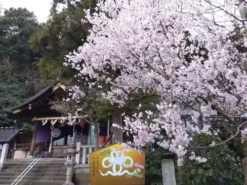 毛谷黒龍神社(福井県)