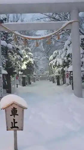 新琴似神社の鳥居