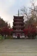 本土寺(千葉県)