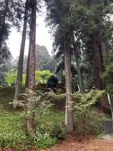 大宮温泉神社(栃木県)(2023年04月24日(月) 08時12分11秒投稿)