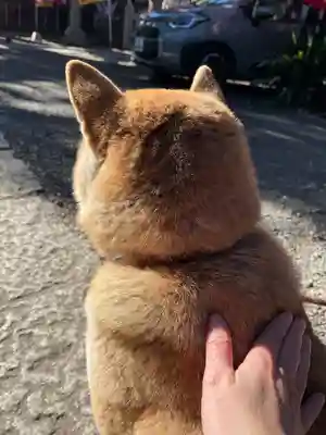 笠䅣稲荷神社(神奈川県)