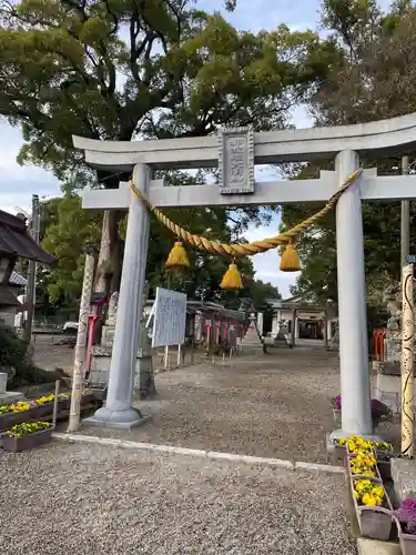 都波岐奈加等神社の鳥居