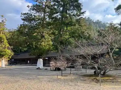 出雲大社(島根県)