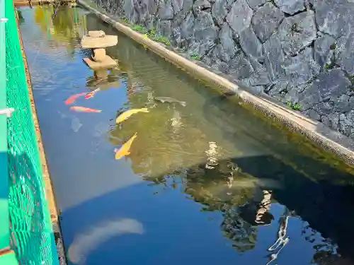 道神社(富山県)