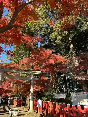 麻賀多神社奥宮(千葉県)