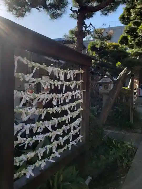 鳩森八幡神社のおみくじ