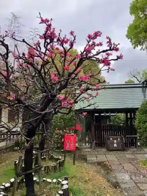 難波大社　生國魂神社(大阪府)