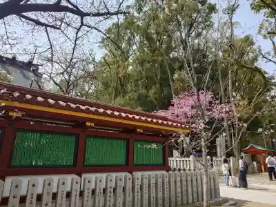 生田神社の{uncategorized: "未分類", other: "その他", undefined: "問題あり", building: "その他建物", grave: "お墓", sacred_gate: "鳥居", guardian: "狛犬", statue: "像", buddha: "仏像", history: "歴史", nature: "自然", garden: "庭園", animal: "動物", pagoda: "塔", temizu: "手水舎", mountain_gate: "山門・神門", sanctuary: "本殿・本堂", subordinate: "末社・摂社", art: "芸術", scenery: "景色", jizo: "地蔵", ema: "絵馬", goshuin: "御朱印", omikuji: "おみくじ", items: "授与品その他", amulet: "お守り", goshuincho: "御朱印帳", eats: "食事", festival: "お祭り", votive_dance: "神楽", shichigosan: "七五三参", wedding: "結婚式", experience: "体験その他", initially: "初詣", around: "周辺", anti_infection: "感染症対策"}