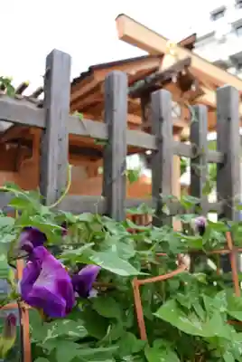 【閉業】小石川大神宮(東京都)