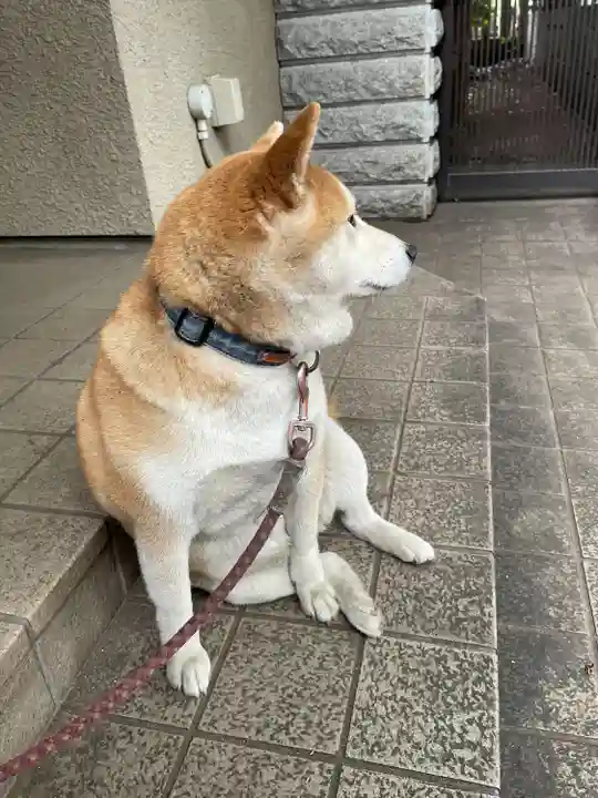 笠䅣稲荷神社(神奈川県)