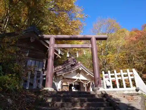 戸隠神社奥社の鳥居