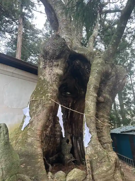 黒沼神社(福島県)