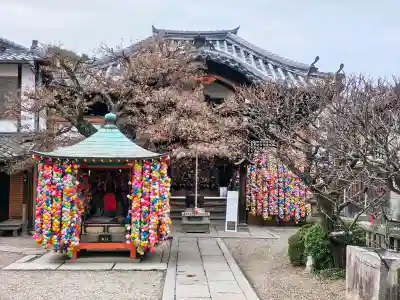 金剛寺（八坂庚申堂）の{uncategorized: "未分類", other: "その他", undefined: "問題あり", building: "その他建物", grave: "お墓", sacred_gate: "鳥居", guardian: "狛犬", statue: "像", buddha: "仏像", history: "歴史", nature: "自然", garden: "庭園", animal: "動物", pagoda: "塔", temizu: "手水舎", mountain_gate: "山門・神門", sanctuary: "本殿・本堂", subordinate: "末社・摂社", art: "芸術", scenery: "景色", jizo: "地蔵", ema: "絵馬", goshuin: "御朱印", omikuji: "おみくじ", items: "授与品その他", amulet: "お守り", goshuincho: "御朱印帳", eats: "食事", festival: "お祭り", votive_dance: "神楽", shichigosan: "七五三参", wedding: "結婚式", experience: "体験その他", initially: "初詣", around: "周辺", anti_infection: "感染症対策"}
