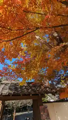 西雲院(京都府)