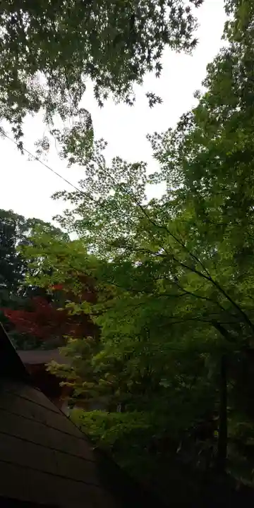 出雲大神宮の自然