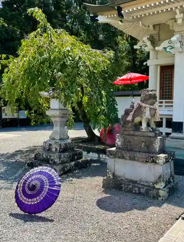 武雄神社の狛犬