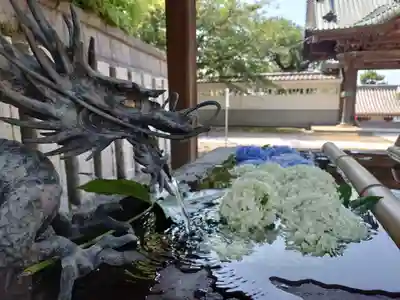 龍口寺の手水舎