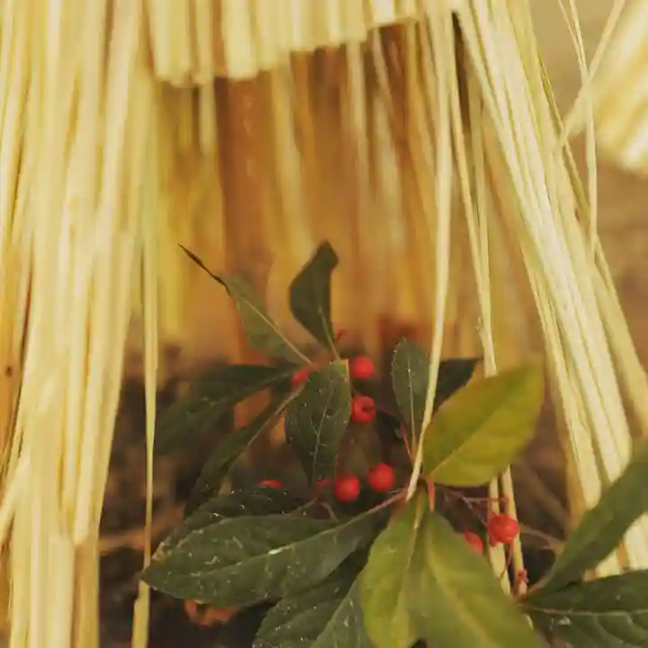 上里菅原神社の自然