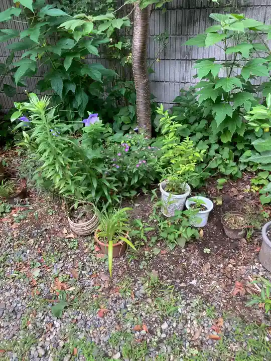 蔵前神社(東京都)