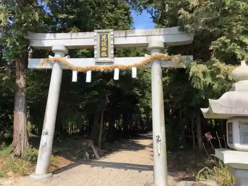 花枝神社の鳥居