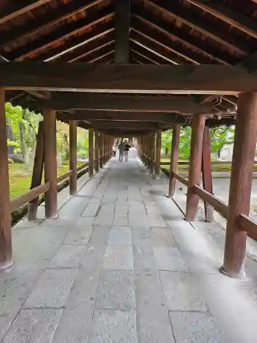 東福禅寺（東福寺）(京都府)