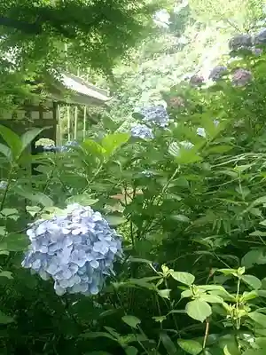 長谷寺のその他建物