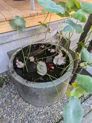 龍興院(東京都)