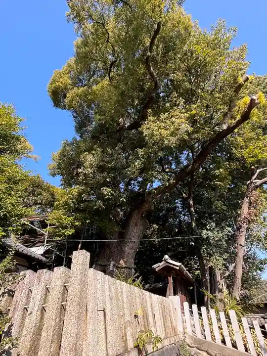 七所神社(愛知県)