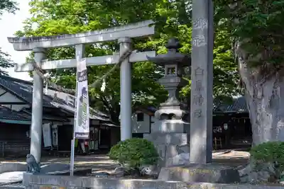 白鳥神社(長野県)