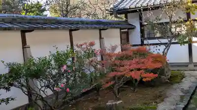隨心院(随心院)(京都府)