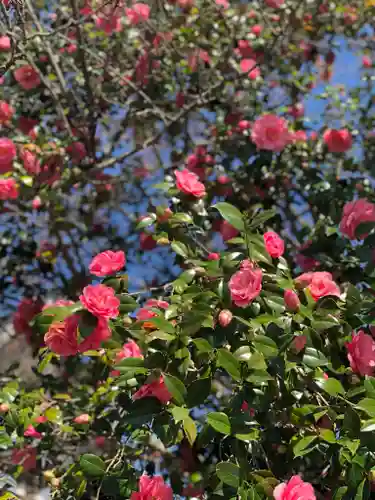 霊鑑寺門跡の自然