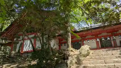 春日大社(奈良県)