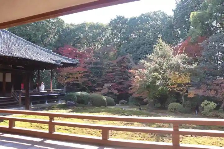隨心院(随心院)の庭園