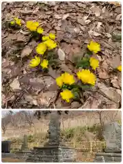 虻田神社の自然