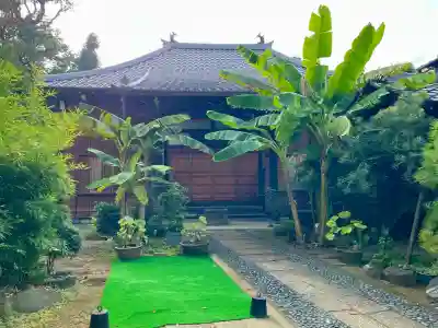 洞雲寺(東京都)