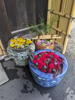 多賀神社の手水舎