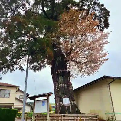 六所神社(静岡県)