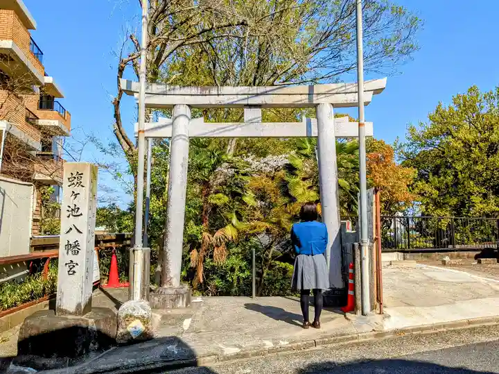 蝮ヶ池八幡宮の鳥居