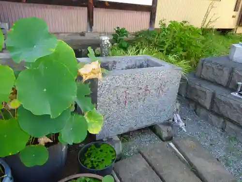 伊勢原 法泉寺の手水舎