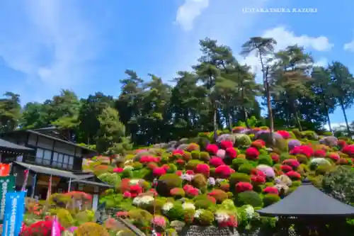 塩船観音寺(東京都)